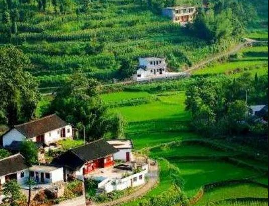 農(nóng)業(yè)農(nóng)村部辦公廳、財(cái)政部辦公廳關(guān)于做好2024年農(nóng)業(yè)產(chǎn)業(yè)融合發(fā)展項(xiàng)目申報(bào)通知