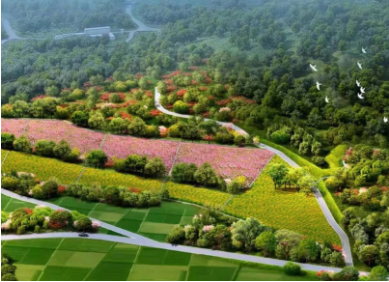 投資EOD項(xiàng)目 ，資金從哪來？