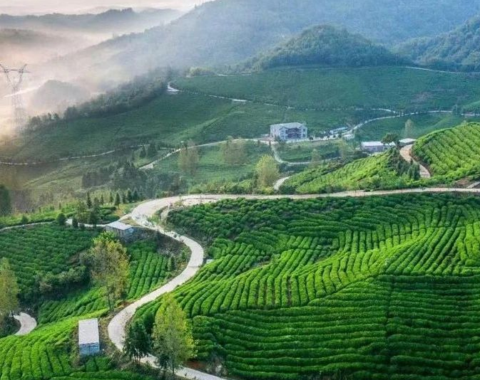 《山西開展農(nóng)村黑臭水體治理辦實(shí)辦細(xì)辦牢民生實(shí)事工作方案》！