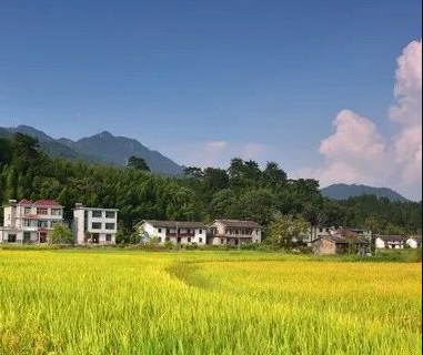 解析EOD項(xiàng)目實(shí)施落地全流程