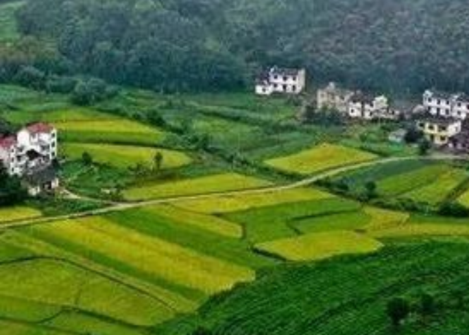 年安排3億元！福建加快推進(jìn)農(nóng)村生活污水提升治理！