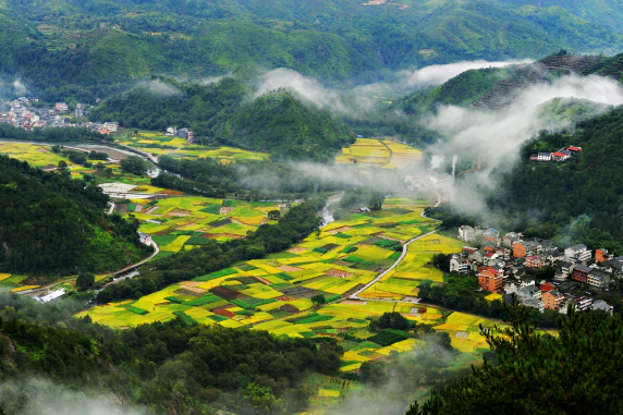 浙江明確：給予這些農(nóng)業(yè)項(xiàng)目補(bǔ)貼（助）