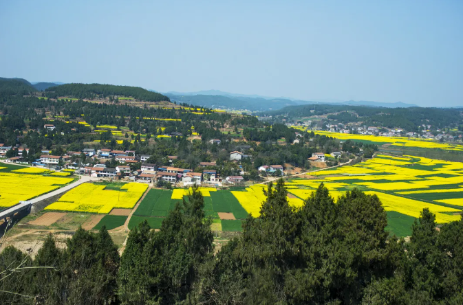 深度研究！探索產(chǎn)業(yè)融合發(fā)展的農(nóng)業(yè)現(xiàn)代化道路