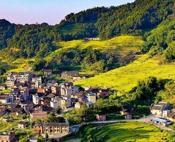 14.15億元！福建下達(dá)鄉(xiāng)村振興示范補(bǔ)助資金