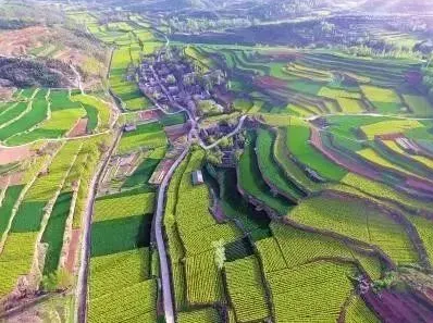 關于“生態(tài)修復+產(chǎn)業(yè)導入”的探索，推動生活、生態(tài)、生產(chǎn)空間整體提升