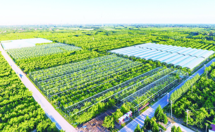 農(nóng)業(yè)農(nóng)村部：持續(xù)加大相關技術(shù)標準制修訂力度，為現(xiàn)代設施農(nóng)業(yè)發(fā)展提供更加全面的技術(shù)支撐與指引