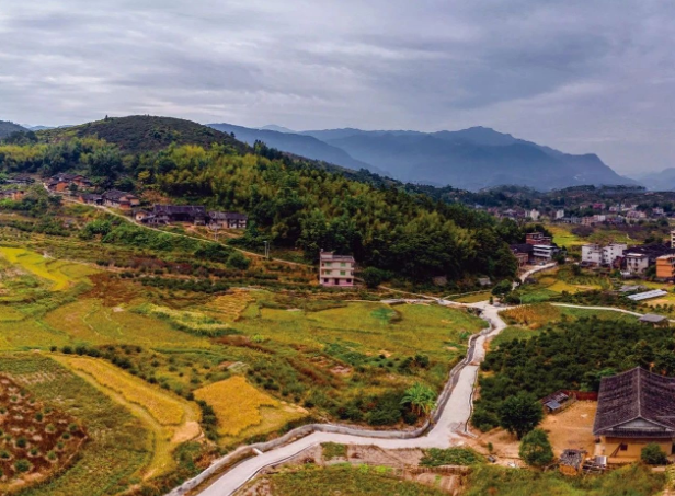 《決定》發(fā)布，與“三農(nóng)”相關的9個關鍵詞