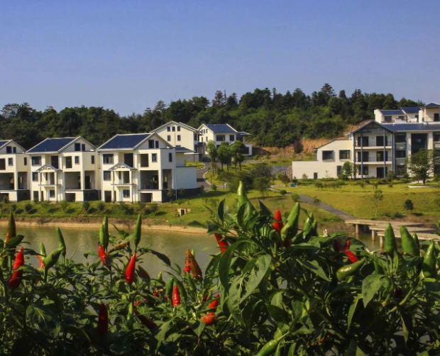 《上海市推動職能部門做好生態(tài)環(huán)境保護工作的實施意見》發(fā)布