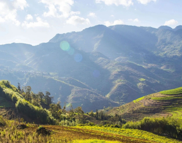 事關(guān)設(shè)施農(nóng)業(yè)投資項目獎補，云南兩部門印發(fā)申報指南