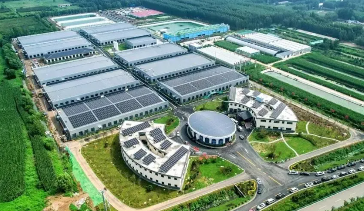 鄉(xiāng)村振興項目如何規(guī)劃實施？一文讀懂要點