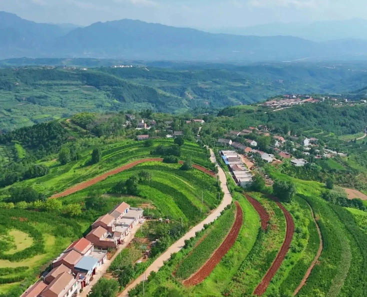 農(nóng)業(yè)農(nóng)村部：做好農(nóng)業(yè)農(nóng)村重大項目謀劃儲備深化融資對接服務