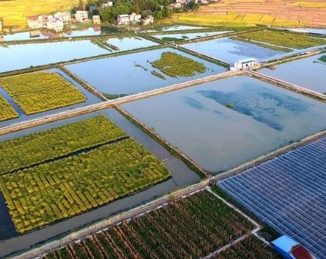 農(nóng)業(yè)農(nóng)村部答復加快農(nóng)民專業(yè)合作社發(fā)展有關(guān)建議