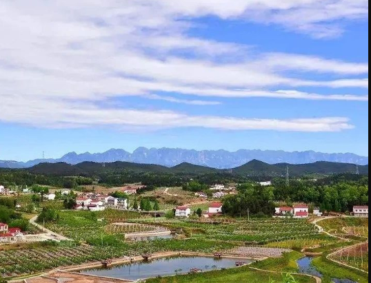 《山東省人民政府辦公廳 關(guān)于學(xué)習(xí)運(yùn)用“千萬工程”經(jīng)驗(yàn)深化農(nóng)村人居環(huán)境整治提升的實(shí)施意見》魯政辦字〔2024〕112號(hào)