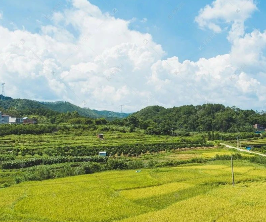 農(nóng)業(yè)農(nóng)村部答復(fù)關(guān)于大力促進(jìn)現(xiàn)代農(nóng)業(yè)經(jīng)營(yíng)主體健康發(fā)展的提案