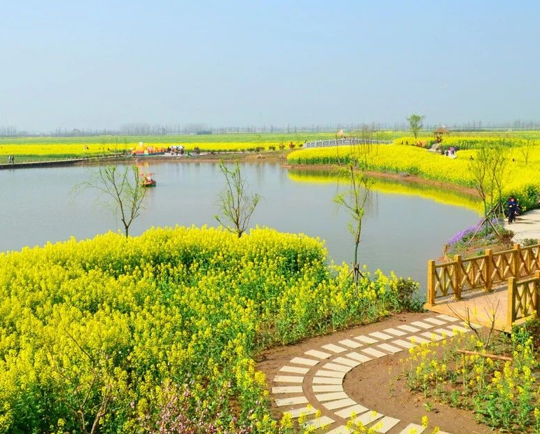 改善鄉(xiāng)村健康環(huán)境，14個(gè)部門聯(lián)合制定意見 健康鄉(xiāng)村建設(shè)“路線圖”公布