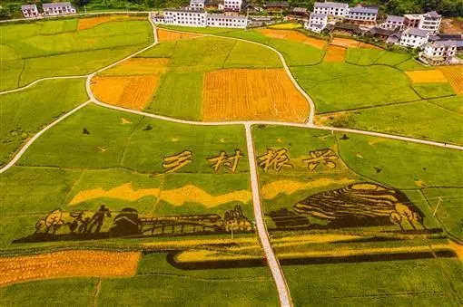 鄉(xiāng)村振興的十個(gè)關(guān)系，你需要搞懂搞透