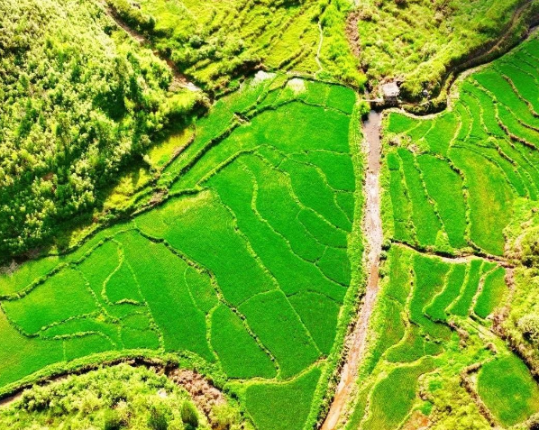 中共中央辦公廳　國務(wù)院辦公廳關(guān)于加強(qiáng)耕地保護(hù)提升耕地質(zhì)量完善占補(bǔ)平衡的意見（全文）