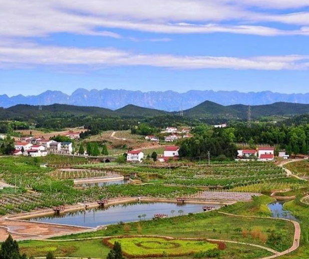 生態(tài)環(huán)境部丨《生態(tài)環(huán)境部門進(jìn)一步促進(jìn)民營經(jīng)濟(jì)發(fā)展的若干措施》