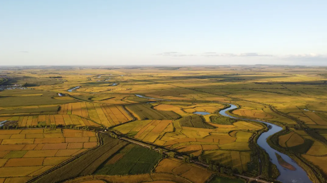 【政策解讀】國務院辦公廳：加快發(fā)展現(xiàn)代設施農(nóng)業(yè)，建設智慧農(nóng)場（牧場、漁場）