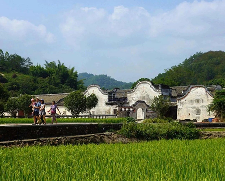 農(nóng)業(yè)農(nóng)村部召開常務會 研究部署推進幫扶產(chǎn)業(yè)高質(zhì)量發(fā)展和智慧農(nóng)業(yè)發(fā)展等工作