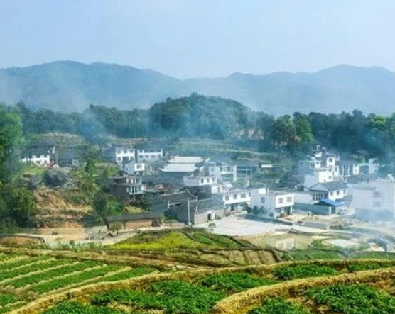 福建省人民政府辦公廳印發(fā)《關于踐行大食物觀構建多元化食物供給體系的實施方案》的通知