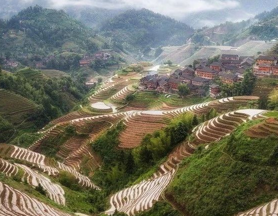 我國(guó)擬修法促進(jìn)漁業(yè)提質(zhì)增效、綠色發(fā)展