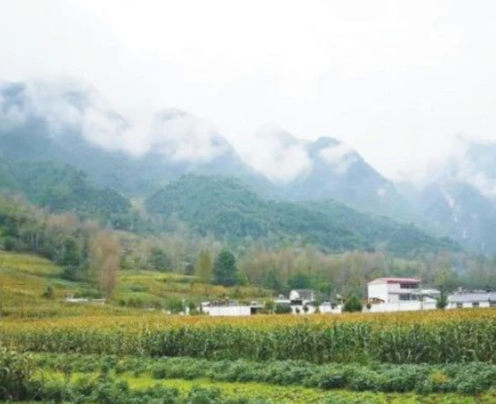 甘肅?。恨r(nóng)村生活污水治理（管控）率達(dá)到29.47%以上