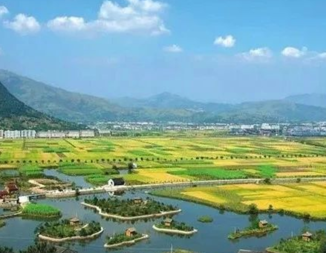 山東印發(fā)實(shí)施意見(jiàn)，大力發(fā)展現(xiàn)代設(shè)施農(nóng)業(yè)