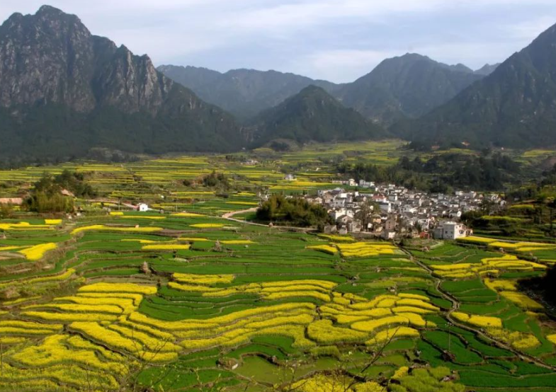 農(nóng)業(yè)農(nóng)村部有關(guān)負責(zé)人就落實《國務(wù)院辦公廳關(guān)于踐行大食物觀構(gòu)建多元化食物供給體系的意見》答記者問