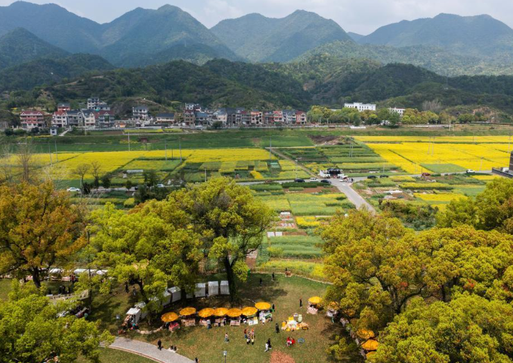 全國(guó)首部！浙江為“千萬(wàn)工程”立法