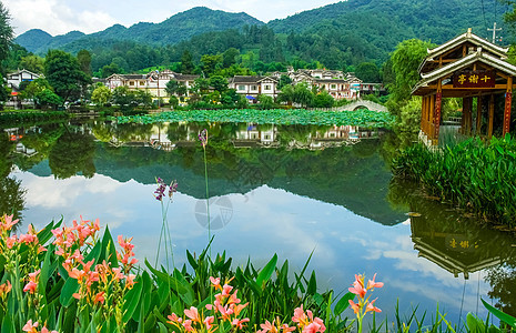 河南出臺(tái)行動(dòng)方案推進(jìn)漁業(yè)高質(zhì)量發(fā)展