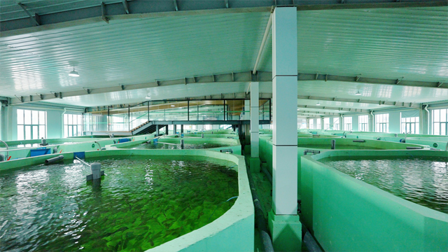 車(chē)間內(nèi)部圖