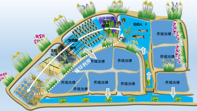 設(shè)施漁業(yè)