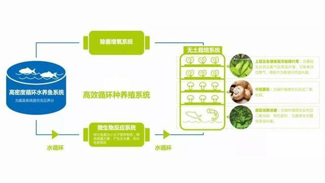 車間內(nèi)部圖