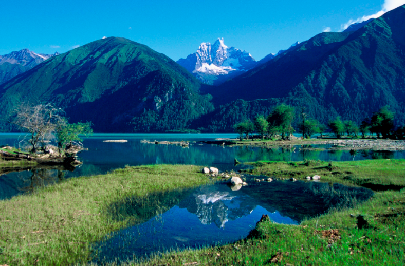 關(guān)于加強(qiáng)生態(tài)環(huán)境領(lǐng)域科技創(chuàng)新 推動(dòng)美麗中國建設(shè)的實(shí)施意見