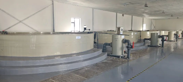 農(nóng)業(yè)新質(zhì)生產(chǎn)力！工廠化循環(huán)水養(yǎng)殖模式賦能漁業(yè)高質(zhì)量發(fā)展