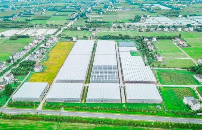 建設(shè)一批智慧漁場(chǎng)！農(nóng)業(yè)農(nóng)村部支持浙江省先行先試建設(shè)智慧農(nóng)業(yè)引領(lǐng)區(qū)