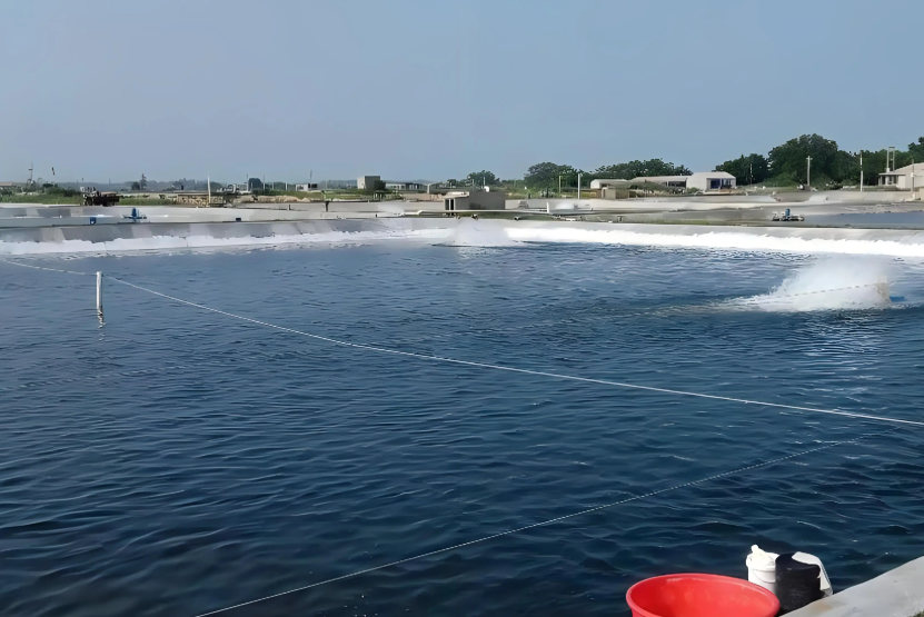 低溫天氣下，水產(chǎn)養(yǎng)殖如何穩(wěn)產(chǎn)保供？這份技術(shù)指引請(qǐng)收好！