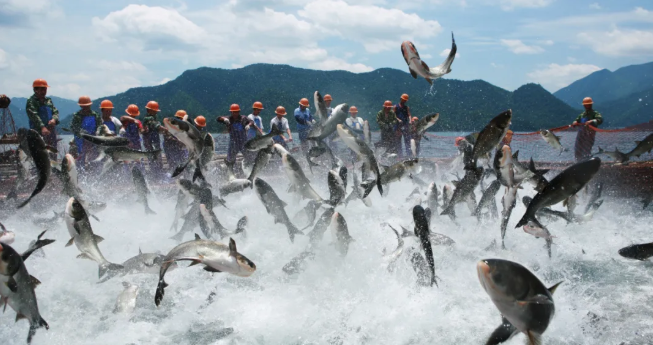 3月1日起，浙江這些區(qū)域全面禁漁！